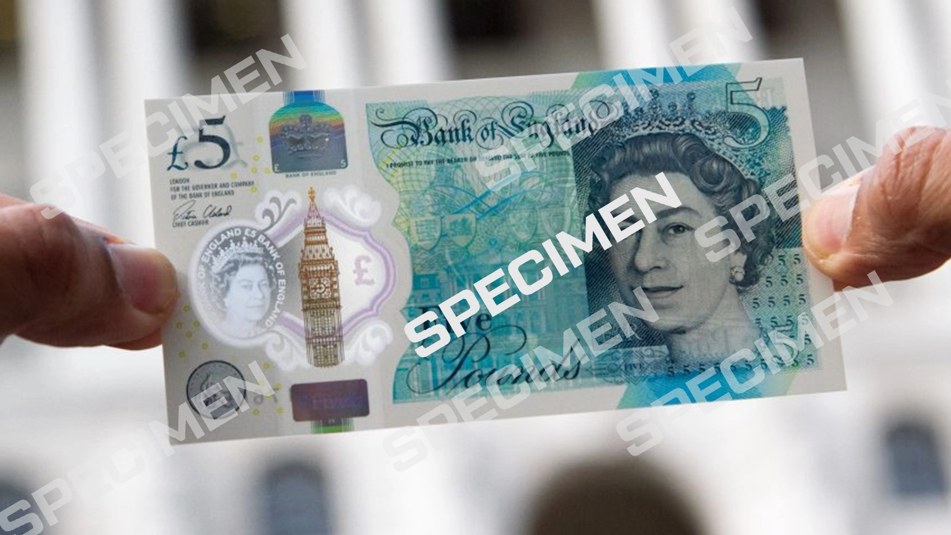 Banconote in polipropilene